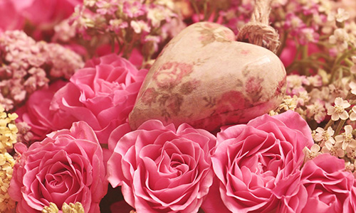 porzellanherz in rosa rosen